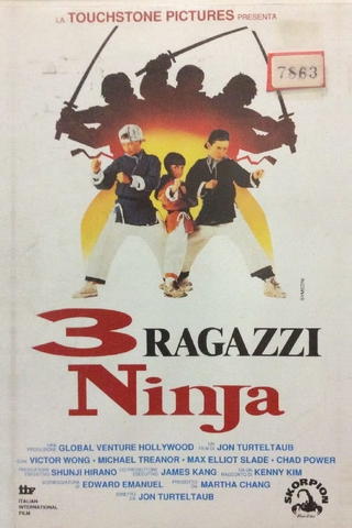 3 ragazzi ninja