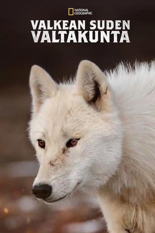 Valkean suden valtakunta