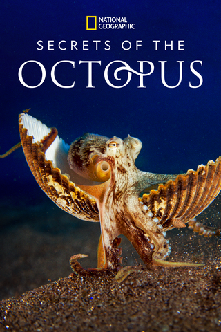 Geheimen van de Octopus