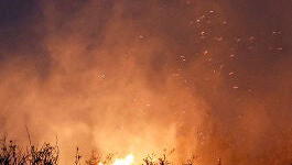 Especial ARV: Emergencia Nacional