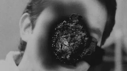 Funeral Parade of Roses
