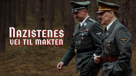 Nazistenes vei til makten