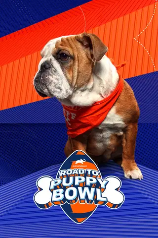 Road to Puppy Bowl