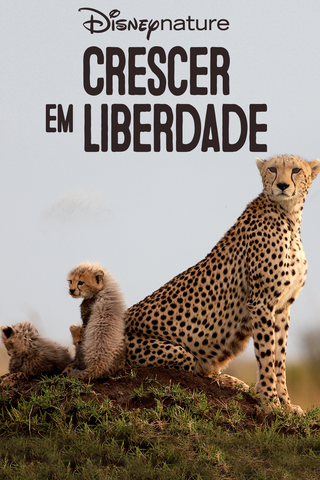 Crescer em Liberdade