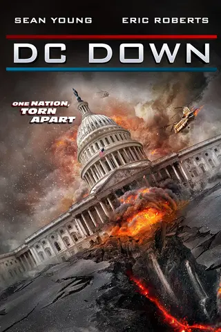 DC Down: Washington in Flammen