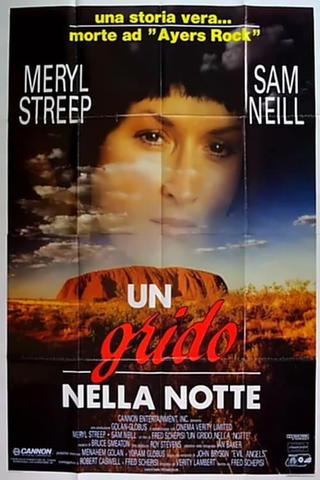 Un grido nella notte