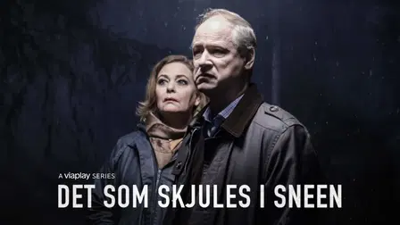 Det som skjules i sneen..