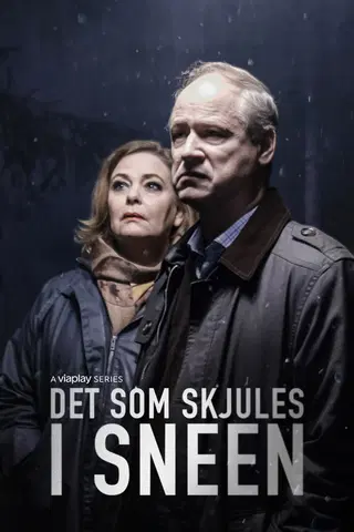 Det som skjules i sneen..