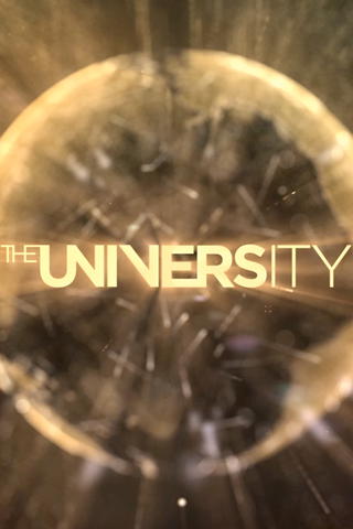 The University