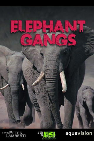 Gangland Killers