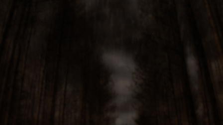 The Bridgewater Triangle