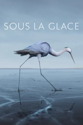 Sous la glace