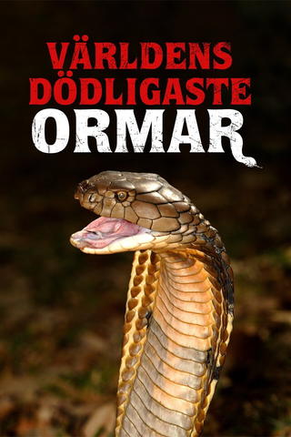 Världens dödligaste ormar