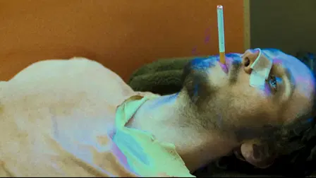 A Drunk Scorpion Will Sting Itself to Death