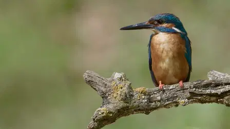 Europe's Hidden Wonders