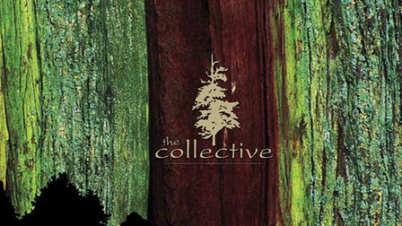 The Collective
