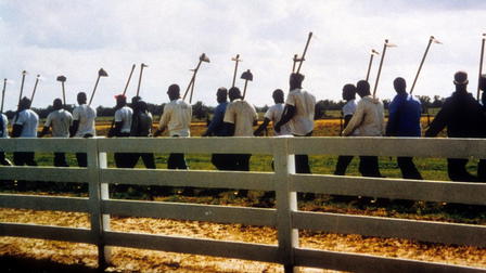 The Farm: Angola, USA