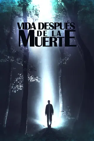 Vida después de la muerte