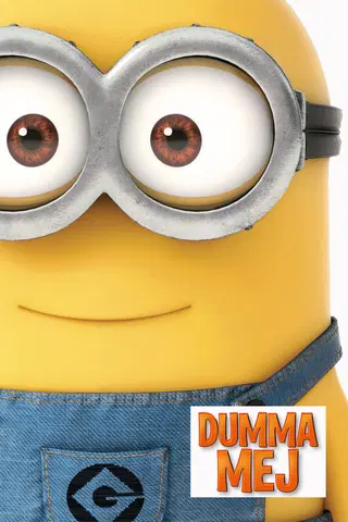 Dumma mej
