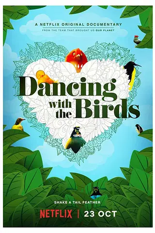Dançar com os Pássaros