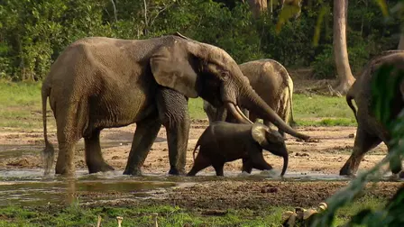Bucket List Africa
