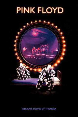 Pink Floyd: The Delicate Sound Of Thunder