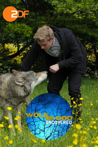 Wolfblood entschlüsselt