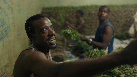 El oro verde de África