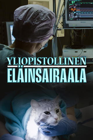 Yliopistollinen eläinsairaala