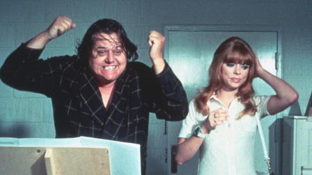 Die jüngsten Kätzchen sind die schärfsten