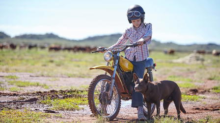Red Dog: True Blue