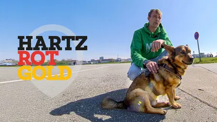 Hartz Rot Gold - Daily