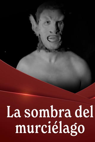 La sombra del murciélago