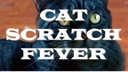Cat Scratch Fever