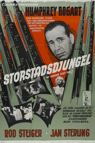 Storstadsdjungel