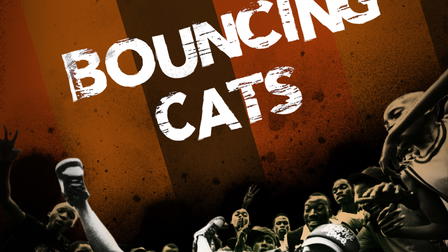 Bouncing Cats