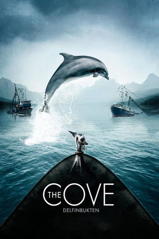 The Cove