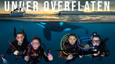 Under overflaten
