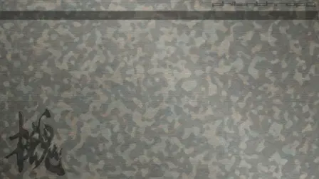 MGS: Philanthropy part 1:  Overnight Nation