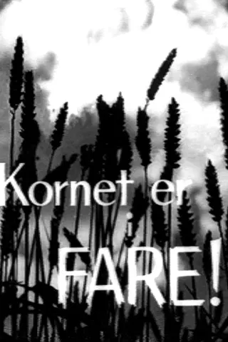 The Corn Is in Danger