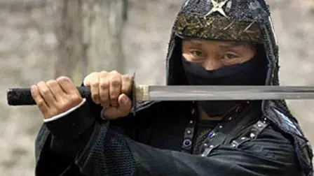 Ninja Knight: Thunder Fox