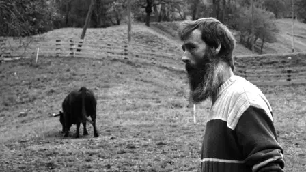 Battle of the Queens