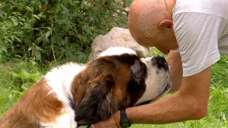 El increíble Dr. Pol: Especial 200 episodios