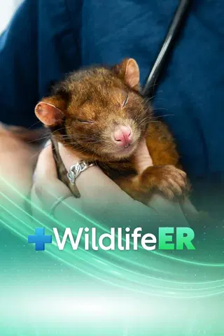 Wildlife ER