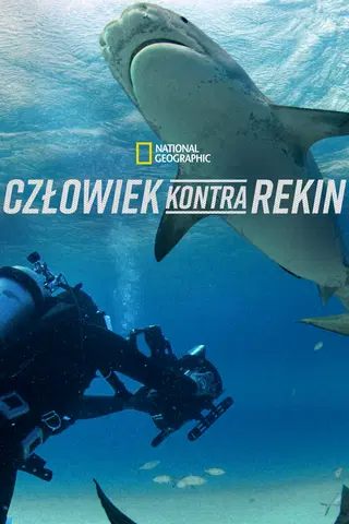 Człowiek kontra rekin