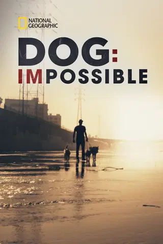 Dog: Impossible