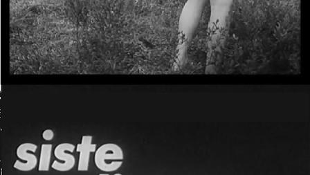 The Last Nudist