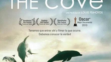 The cove