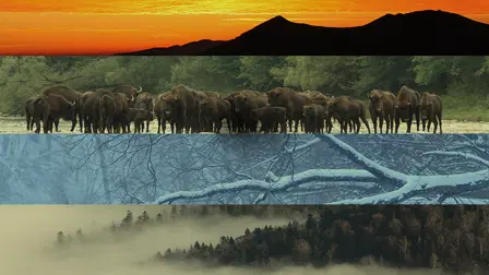 The Wolf Mountains