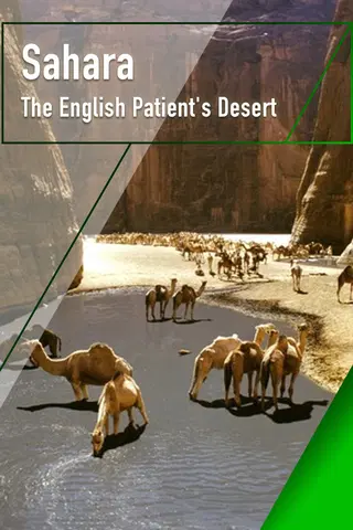 Sahara - The English Patient's Desert